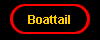  Boattail 
