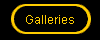  Galleries 
