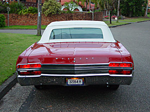 catbackS